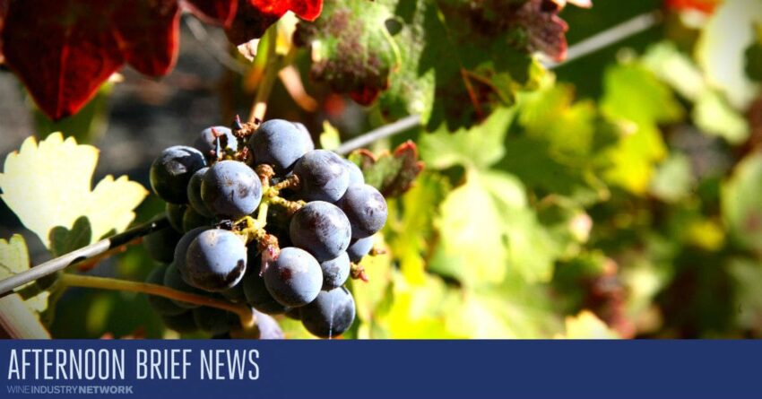 Ringkasan Singkat Sore: Vintage Wine Estates Memperoleh Persetujuan untuk Menjual Merek ke Perusahaan Foley