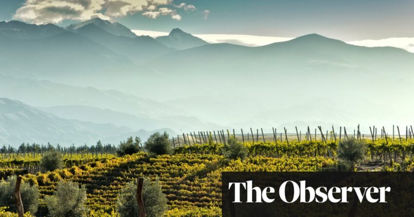 Lebih dari sekadar malbec: beragam anggur Argentina | Anggur