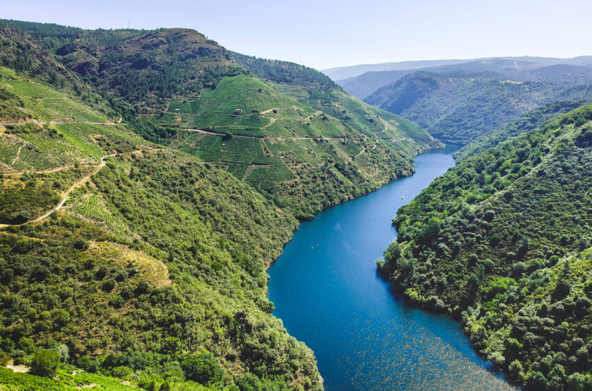 Ribeira Sacra – Pemerintah Galisia mengesahkan penyulingan krisis yang belum pernah terjadi sebelumnya