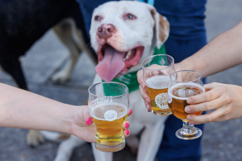 Teman berbulu, bir tak terbatas: Apa yang diharapkan di Cap City Beer Fest